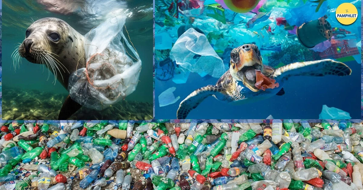 نابودی محیط زیست دریایی به وسیله پلاستیک